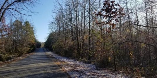 New Light Rd, Starkville, MS 39759